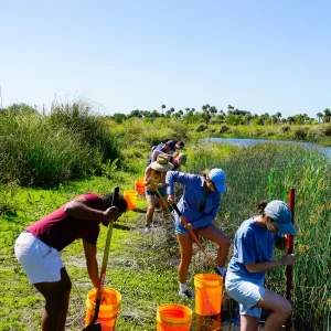 Cooperación y Voluntariado Internacional - Nivel Avanzado